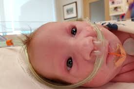 Fundraiser for Michael Panneton by Rob And Jami Carson : Help Max with his  medical needs