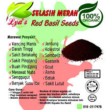 Check spelling or type a new query. Red Basil Seed Selasih Merah Ready Stock Kencing Manis Darah Tinggi Buah Pinggang Kolesterol Gasterik Shopee Malaysia