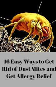 16 easy ways to get rid of dust mites time tested strategies new technologies and a step by step guide to controll dust mite allergy dust allergy dust mites