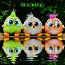 Https Encrypted Tbn0 Gstatic Com Images Q Tbn 3aand9gcsudaaurrggdvjbrdjxbvwk1d Ko0teurl4xw Usqp Cau