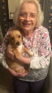 Morgan Wynn (@morgwynn)