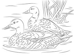 2) click on the coloring page image in the bottom half of the screen to make that frame active. Pin On Embroidery Critters