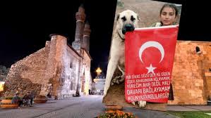 Sivas Capsleri Tt Oldu Dunya Sivaslilar Gununde Sosyal Medyayi Salladilar Sosyal Medya Caps Festivaller