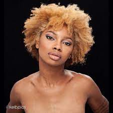 4c Blonde Natural Afro Hairstyles Natural Hair Color Natural Hair Styles