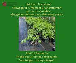 Image result for Trilepisium