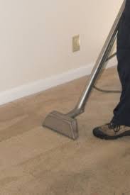 Carpet Steam Cleaner 5 Buying Tips In Perth Carpet Steam Cleaner Carpet Steam Carpet Cleaning Service