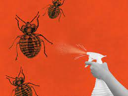 You'll need to wait for at least fifteen minutes before heading back to ventilate the room. Bed Bug Sprays Best Product Options And Other Tips