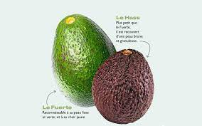 Tout Savoir Sur L Avocat Un Fruit Bien En Chair Le Parisien