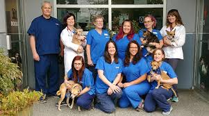 We understand what a big responsibility it is, and make. Veterinarians In Sammamish Wa Vca All Critters Animal Hospital