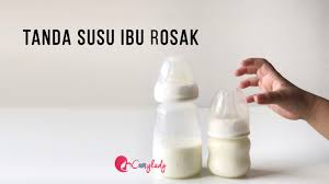 Ada ibu yang memberikan asi kepada anaknya selama dua tahun. Tanda Susu Ibu Rosak Cozy Lady