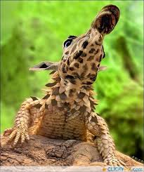 Freaky Photoshopped Animal Hybrids Clicky Pix Animaux Hybrides Animaux Animales