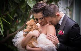 Matrimonio a prima vista è un programma televisivo italiano che va in onda su real time. 1authors Books December 2016