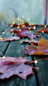 Check spelling or type a new query. Fall Tumblr Wallpapers Top Free Fall Tumblr Backgrounds Wallpaperaccess