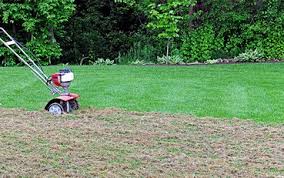 But as is the case with all unique type of grass the greenworks 27022 dethatcher is an excellent choice if you're looking for the additional utility of dethatching while mowing your lawn. St Augustine Dethatching Clean Cuts Of Saint Augustine
