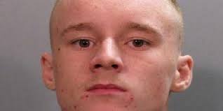 Cellphone video showed cats shot point-blank; Jacksonville 18-year-old gets  120 days