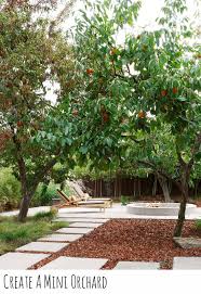 Vanvranken, a county agent and professor at rutgers cooperative extension of atlantic county in mays landing, nj. Create A Mini Orchard In Brisbane Seed Landscape Design