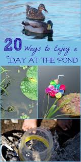 Science And Water Activities For Kids To Do At The Lake Or Pond Spring Summer Preschool Science Activities Science Activities For Kids Preschool Activities