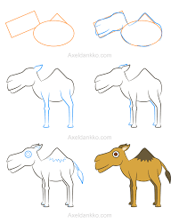 Pin On Animals Complex