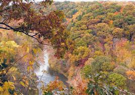 The park, about 5 miles (8 km) north of the county seat of media , offers many recreational activities, such as hiking, biking, fishing, and picnicking. Fall Fly Fishing On The Scenic Little Beaver Creek The Blade