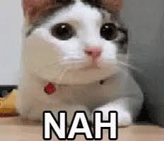 Gif meme maker lets you create the web's coolest gif meme maker lets you create the web's coolest gifs. Non Gifs Get The Best Gif On Giphy