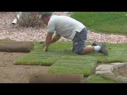 Also see my other videos on sod installation: Video 2 Laying Sod Youtube