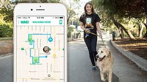 You can pick your hours, your fees, and let me again remind you of all the cute dogs. Meet Wag An App To Help You Find A Dog Walker