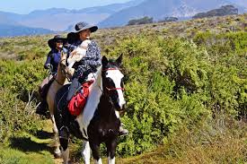 I want to ask you if it's enough. Morro Dunes Trail Riding The Slo County Trails Slo Horse News