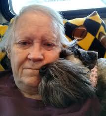 Miss Lilly enjoying morning sun