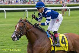 Https Www Paulickreport Com News Breeders Cup Oscar Performance Goes Grade 1 Hat Trick Joe Hirsch Turf Cla Racing News Horse Racing Thoroughbred Horse Racing
