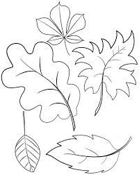 The coloring page is printable and can be used in the classroom or at home. Types Of Leaves Coloring Page Leaf Coloring Page Leaf Coloring Coloring Pages