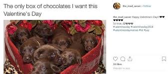 Valentine Card Design Dog Valentine Card Meme 23 funny valentine's memes that totally sum up how you feel on valentine's day.