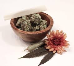 The main disadvantages of gene banks are: 5 Best Seed Banks Of 2021 Top Cannabis Seed Banks That Ship To Usa Buy Marijuana Seeds Online
