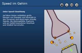 Wie Wirken Drogen Im Gehirn Freiburg Fudder De