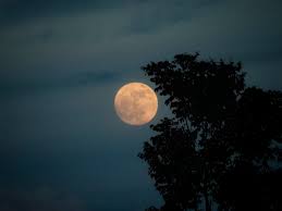 Michigan skywatchers turn eyes to Earth's new 'quasi moon' - Bridge Michigan