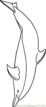 Free Printable Coloring Image Dolphin Coloring Page 0001 2 Dessin Bandes De Papier Coloriage