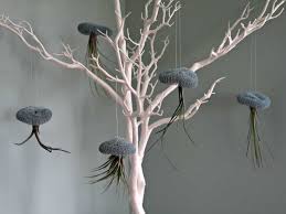 Super inventive and creative ways to display these curious little natural beauties (also called tillandsia). How To Make Adorable Air Plant And Wire Jellyfish Craft Invaders
