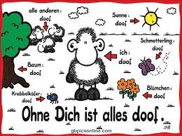 Ohne Dich Ist Alle Doof Ich Vermisse Dich Bild 9847