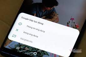 4) google search glitches and amusing google assistant screenshots will be removed. Jrlglflxtswljm