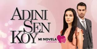 Mi Novela Subtitulada Series Y Novelas Turcas Subtituladas Al Espanol En 2020 Series Y Novelas Series Completas En Espanol Novelas