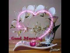 Good morning lily flowers in water. Good Morning My Love Morning Quotes With Pictures Of Flowers For Husband Or Wife Youtub Good Morning Images Flowers Good Night Flowers Good Morning Flowers