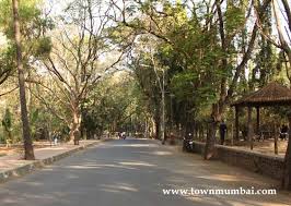 Sanjay Gandhi National Park, Borivali ...