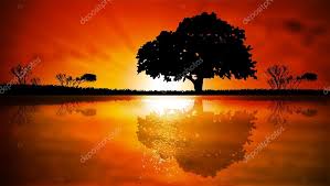 Imagenes de doctores para dibujar para niños. Dibujo Al Atardecer Vectores Graficos Imagenes Vectoriales Depositphotos