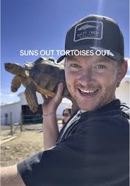 Suns out which means tortoises out #hobbyfarm #widdlebabysteven  #sulcatatortoise #utah #tortoises #6tortoises #sunsout