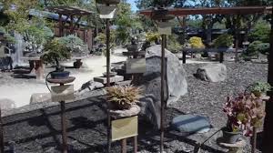 Discover lake merritt's bonsai garden in oakland, california: Bonsai Garden At Lake Merritt In San Francisco Ca Youtube
