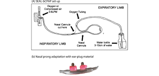 There are four paired sinuses, named according to the bone they are located in; A Seal Bcpap Set Up Device Constructed From Oxygen Tubing Nasal Download Scientific Diagram