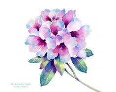 #rhododendrons #rhododendron #pink #pink rhododendron #flowers #artists on tumblr #art #floralls #floral #watercolor #minimalism #painting #botanical #watercolor painting #nature #garden #flora #watercolor flowers #minimal #floral watercolor #flower #creatrs #watercolour #watercolour art. 140 Rhododendron Ideas Rhododendron Watercolor Flowers Flower Painting
