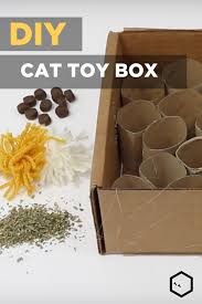 5 out of 5 stars. Diy Cat Toys Puzzle Box Diy Cat Toys Cat Diy Cat Toys