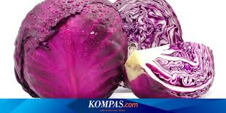 Sayuran yang satu ini semakin populer dikonsumsi, tetapi tak banyak yang tahu manfaat kol ungu yang sesungguhnya bagi tubuh. 7 Alasan Mengapa Kol Ungu Masuk Dalam Daftar Sayur Paling Menyehatkan Halaman All Kompas Com