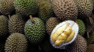 Ia membuktikan betapa adilnya allah memberi hambanya peluang untuk merasa. 6 Buah Biasa Di Indonesia Yang Dianggap Aneh Di Luar Negeri Global Liputan6 Com