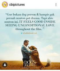 Nonton film a dog's journey (2019) streaming dan download movie layarkaca21 lk21 dunia21 subtitle indonesia kualitas hd gratis terlengkap . Berikut Tulisan Teman Teman Yang Beruntung Menonton A Dog S Journey Cinemags